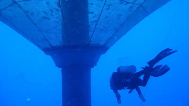 The Ocean Aware project will develop sustainable aquaculture solutions Photo: Ocean Supercluster