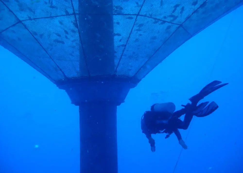 The Ocean Aware project will develop sustainable aquaculture solutions Photo: Ocean Supercluster