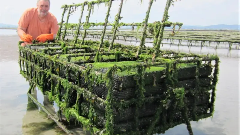 Grzegorz Skawinski and his rotating cage system for oyster production Photo: New Oyster Farm