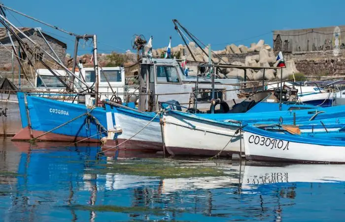 Amendments to the EMFF are bringing relief to Bulgarian fishers Photo: Shutterstock