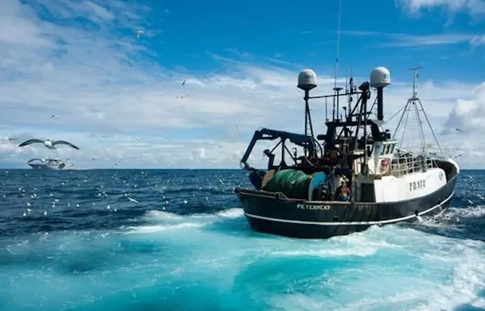Seafish has published its 2019 fleet data report Photo: Seafish