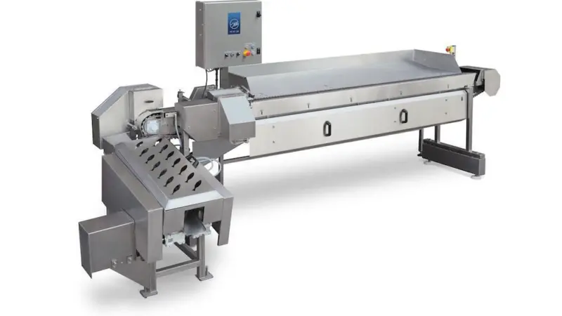 SEAC perfects belly cleaning