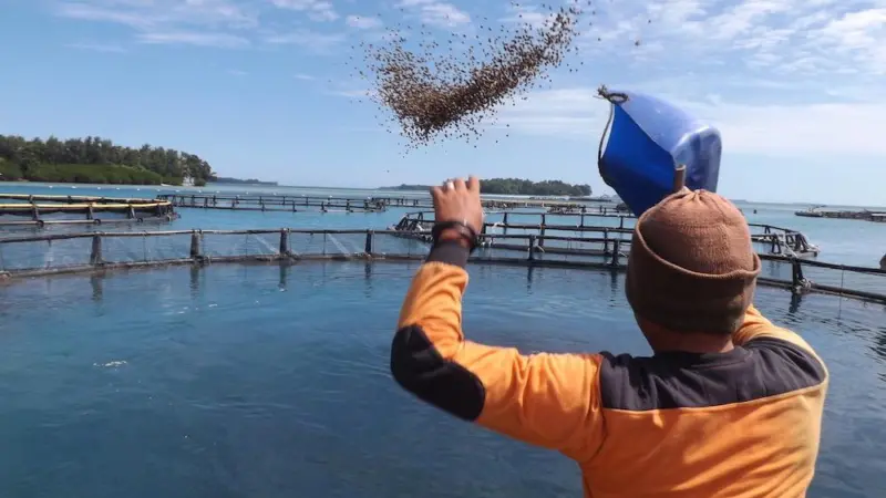 Aquaculture’s crucial role to feed billions