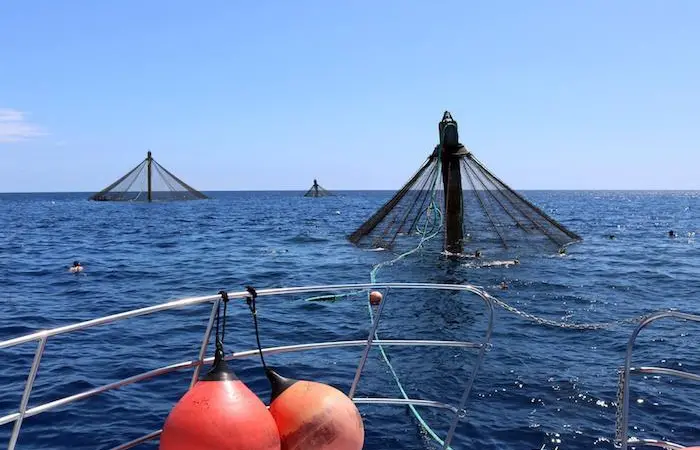 The first two Aquaculture Opportunity Areas in the US have been chosen Photo: NOAA Fisheries