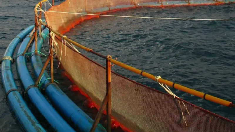 Aquaculture vital for coastal communities