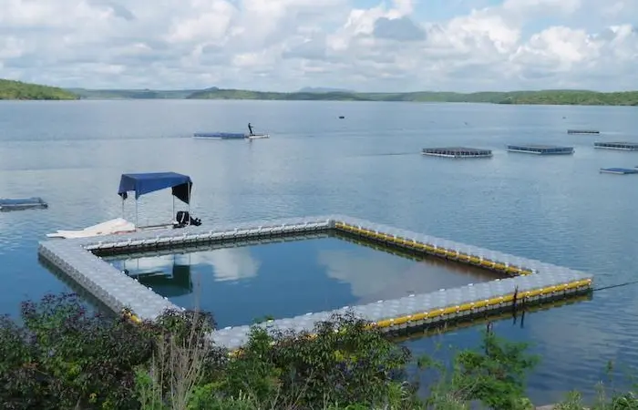 Dock Blocks reduce maintenance costs