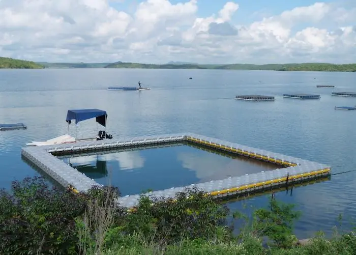 Dock Blocks reduce maintenance costs