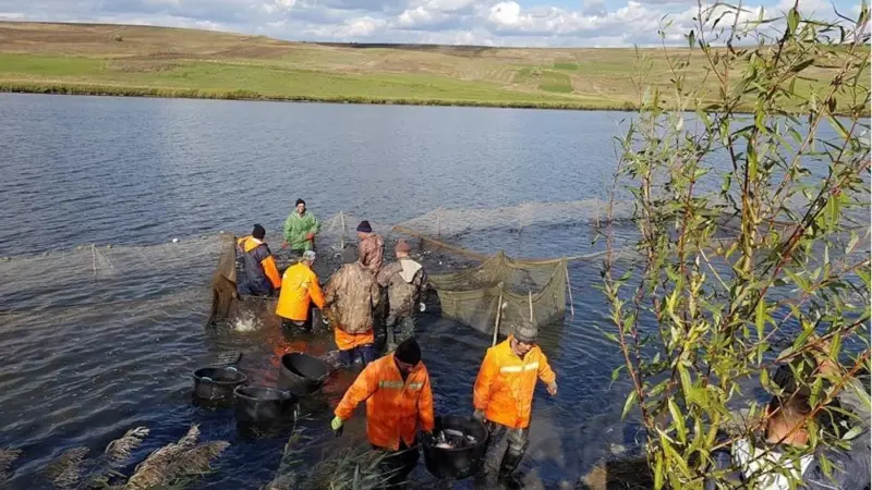 Romania has allocated €5m to help aquaculture companies weather the Covid-19 pandemic Photo: Romfish