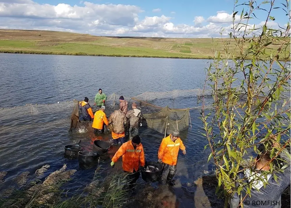 Romania has allocated €5m to help aquaculture companies weather the Covid-19 pandemic Photo: Romfish