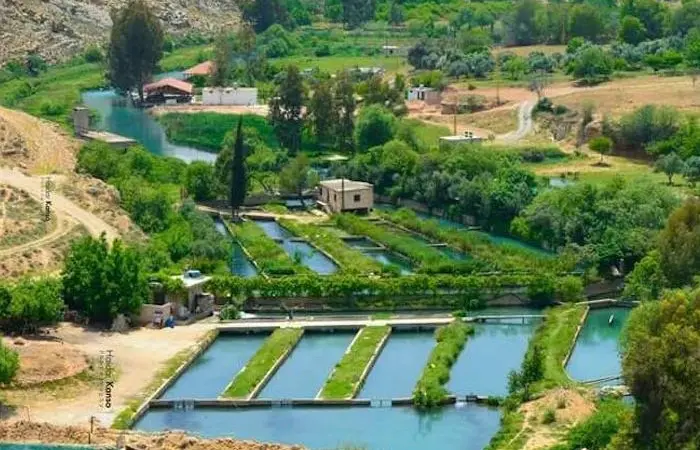 Aquaculture in Lebanon will help bring about food security in the region Photo: GFCM