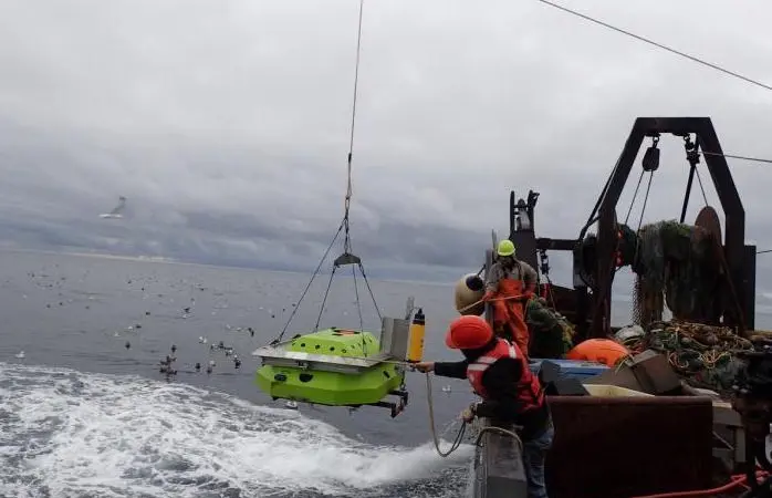 Tracking year-round pollock movement