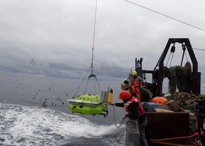 Tracking year-round pollock movement