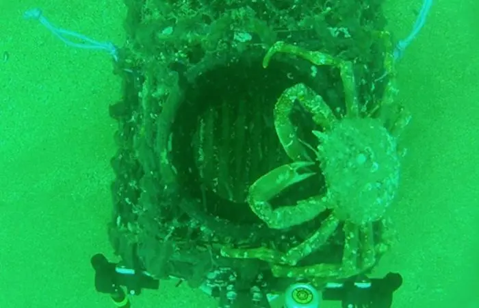 Pot fishing could be damaging the marine environment Photo: University of Plymouth