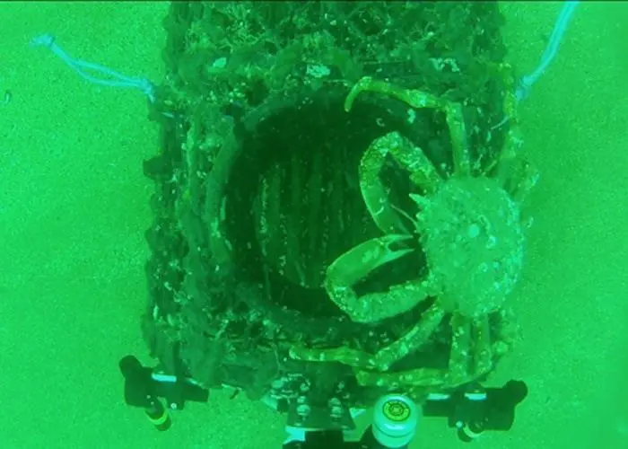Pot fishing could be damaging the marine environment Photo: University of Plymouth