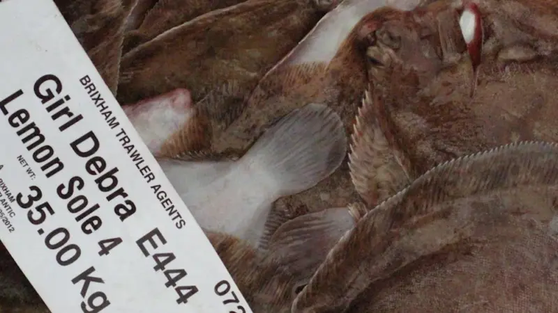 Seafish has enhanced its Brexit guidance Photo: Seafish