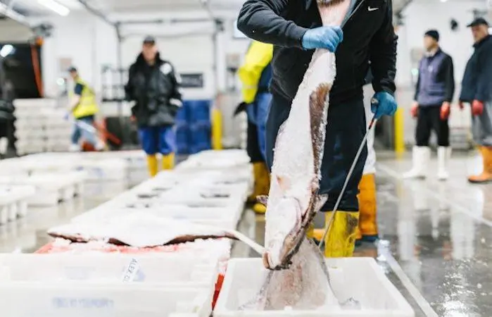 The Scottish seafood sector faces challenges brought by Brexit and the Covid-19 pandemic