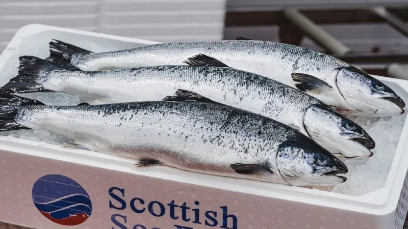 The RAS hatchery at Barcaldine cost £58 million Photo: Scottish Sea Farms