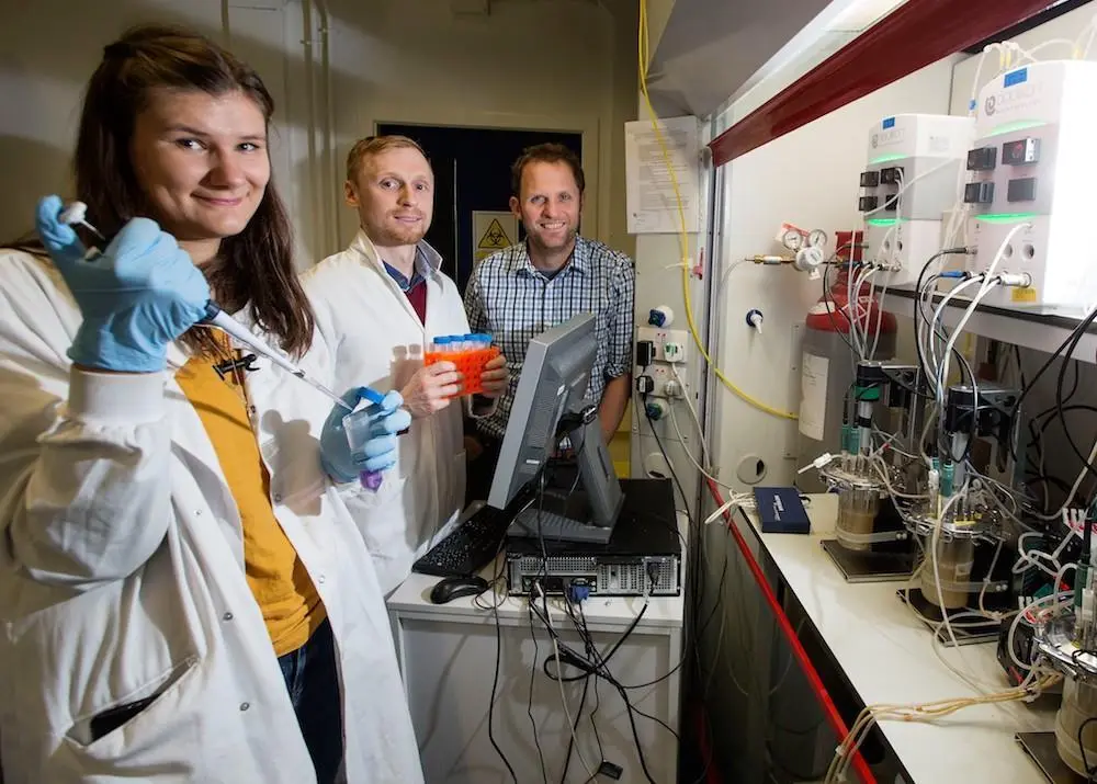 Simulators can significantly reduce the cost and duration of trials Photo: SalmoSim