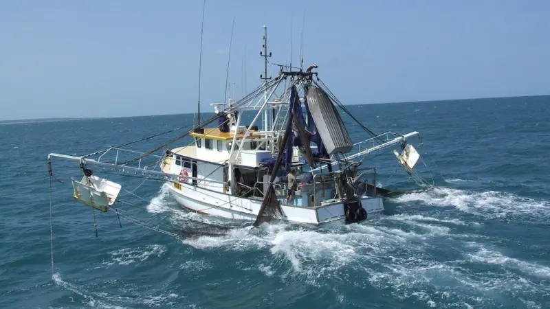 Industry takes on NPF co-management role