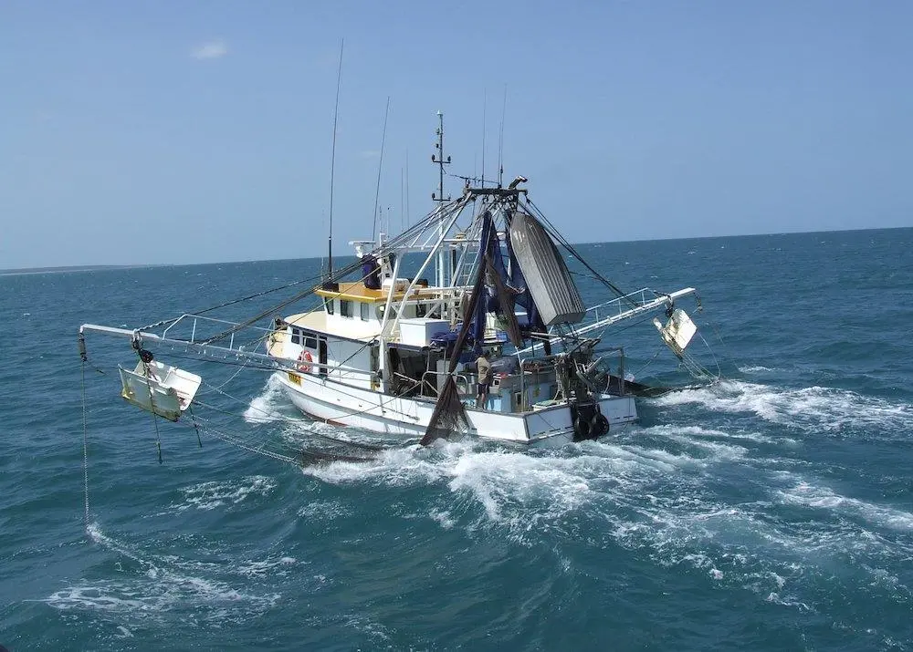 Industry takes on NPF co-management role
