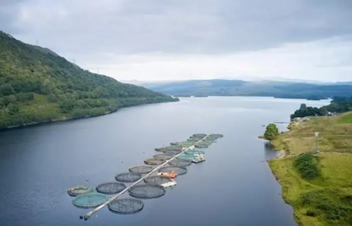 BMT supporting Scottish aquaculture