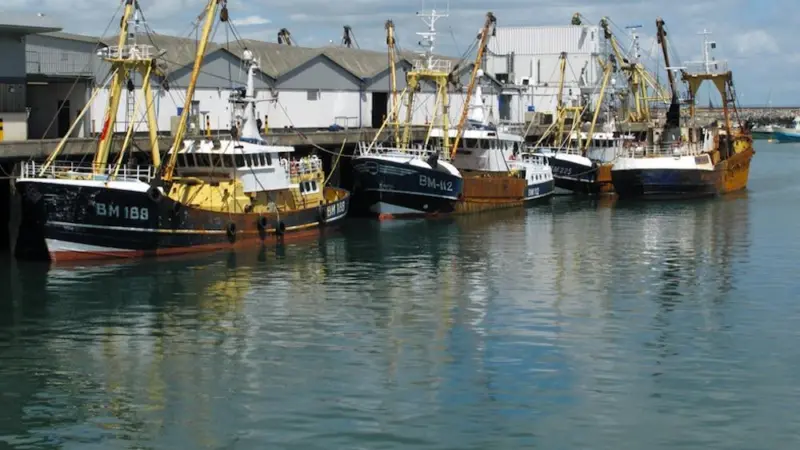 UK fishing industry slams Brexit terms