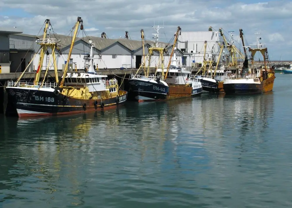 UK fishing industry slams Brexit terms