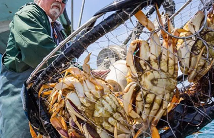 Crab fishermen prove resilient to climate shocks Photo: NOAA