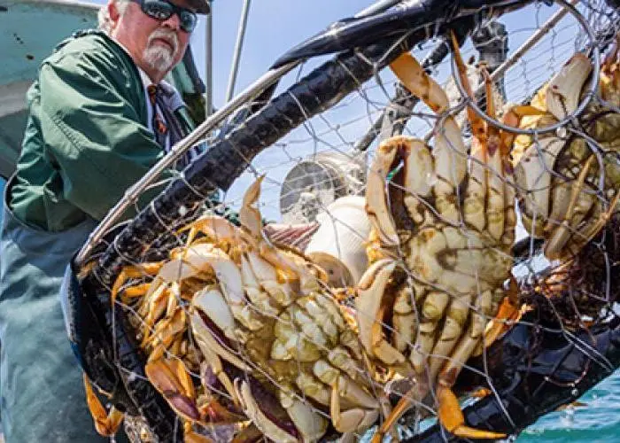 Crab fishermen prove resilient to climate shocks Photo: NOAA