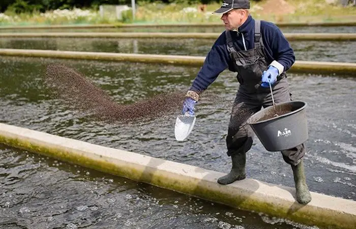 Aller Aqua is to start showing the carbon footprint of its European-produced feed Photo: Aller Aqua