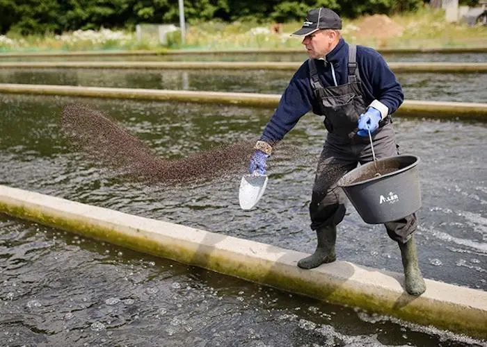 Aller Aqua is to start showing the carbon footprint of its European-produced feed Photo: Aller Aqua