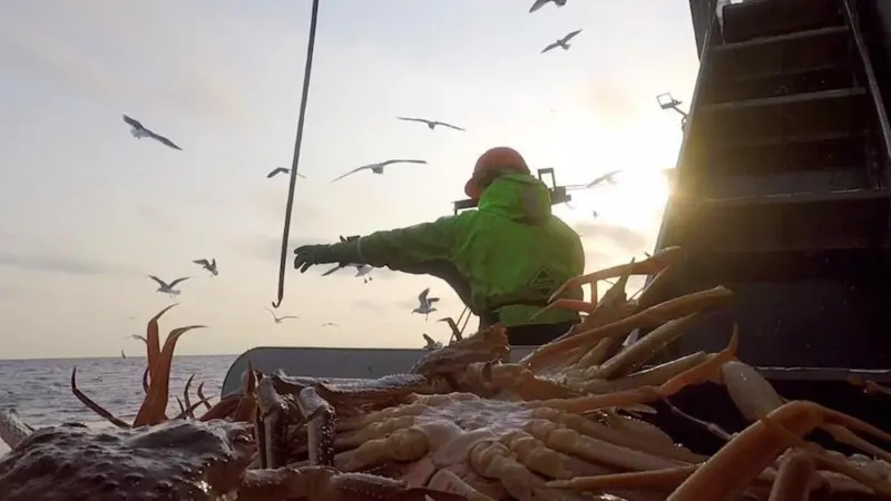 The Russian Crab Company increased its catch five-fold in 2020