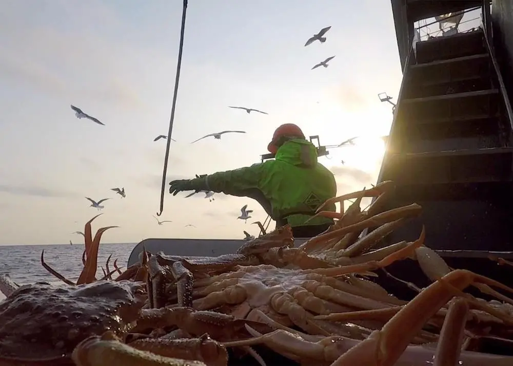 The Russian Crab Company increased its catch five-fold in 2020