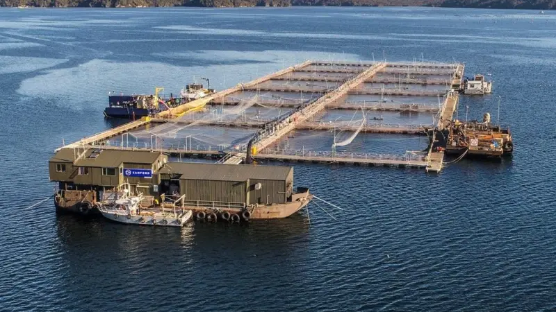 Sanford operations