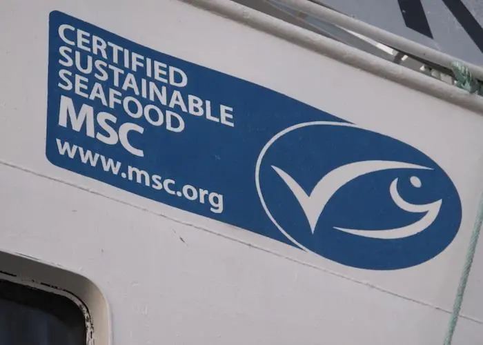 The Dutch Postcode Lottery is supporting MSC for a further three years Photo: MSC