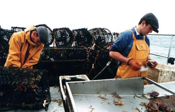 Managing the density of crab and lobster pots is crucial to sustainability Photo: University of Plymouth