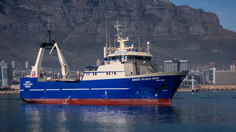 Revenue has grown at The Sea Harvest Group Photo: Sea Harvest Group