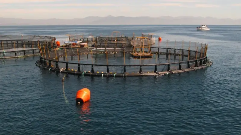 ASC consults on major programme improvements