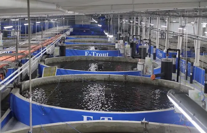 Russian fish farmers source equipment at home