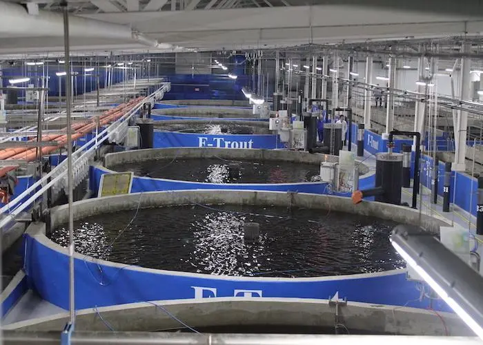 Russian fish farmers source equipment at home