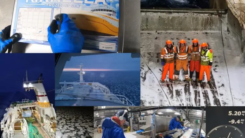 Smart deal within reach for British fishing?