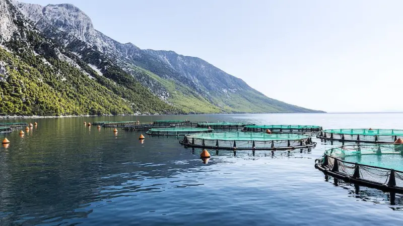 G4S is helping Avramar keeps its Mediterranean farm safe from poachers and damage Photo: Avramar
