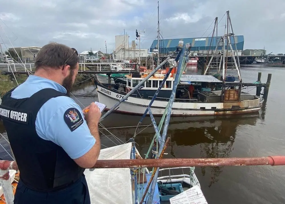 New Zealand has reviewed catch limits Photo: Ministry for Primary Industries
