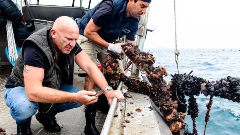 Leeuwin Coast seafood