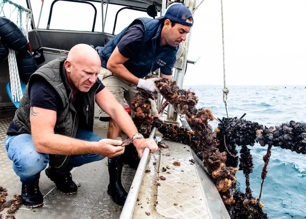 Leeuwin Coast seafood