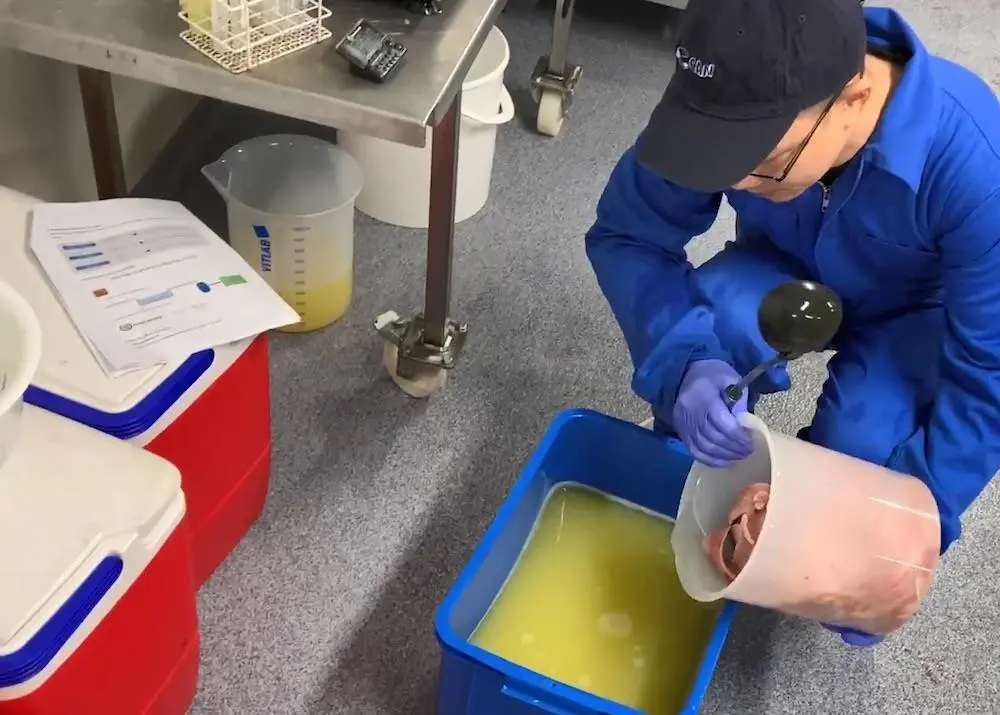 dipping experiment