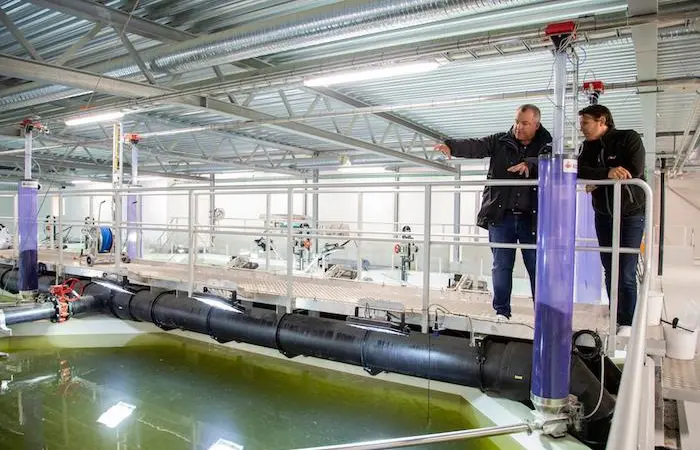 Alltech Coppens salmon hatchery