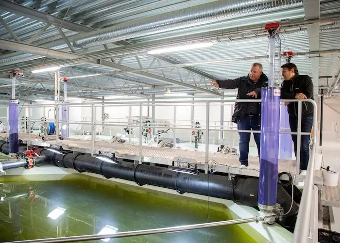 Alltech Coppens salmon hatchery