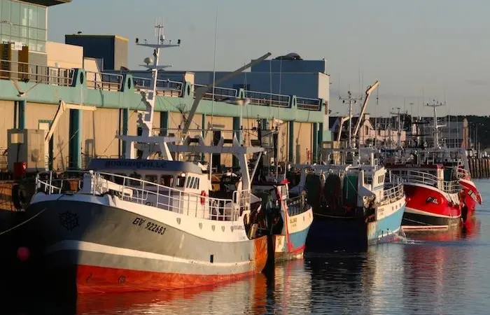 Six auctions in Brittany opt for Kosmos
