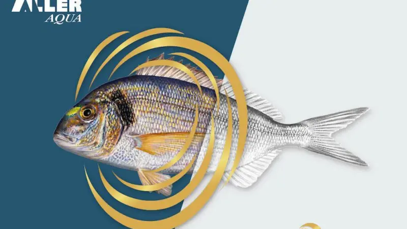 Enhanced sea bream diet for deeper colour
